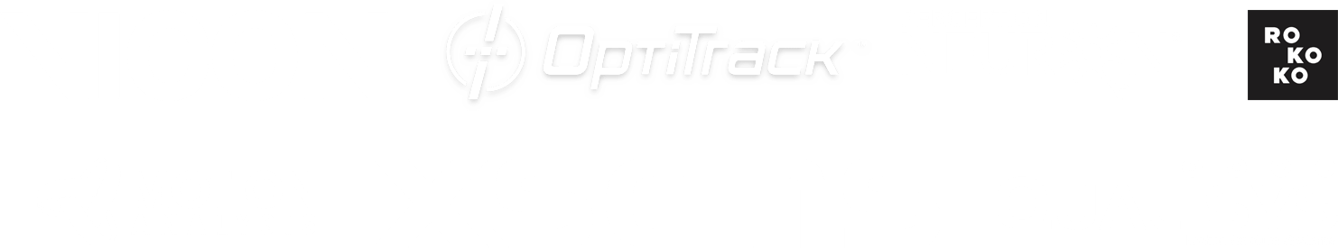 Integration Partners